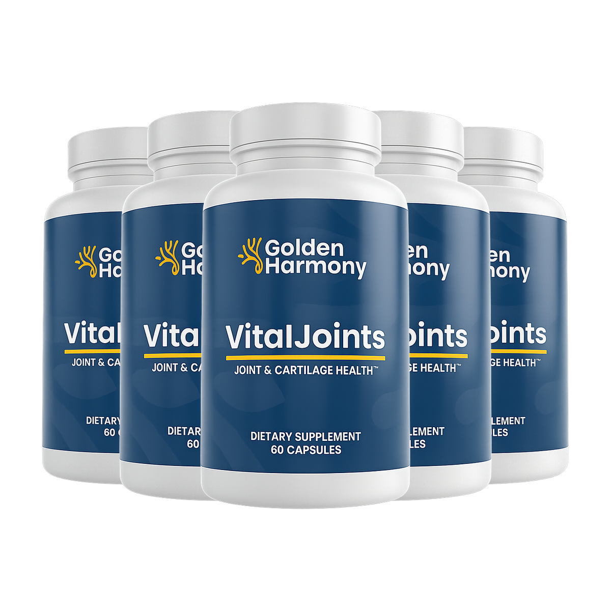 VitalJoints